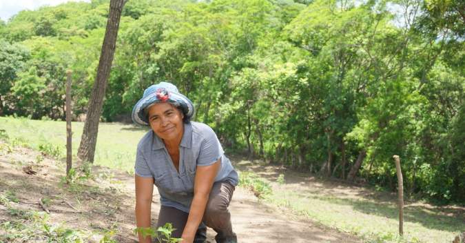 Bäume: Helden für das Klima - und gegen ländliche Armut