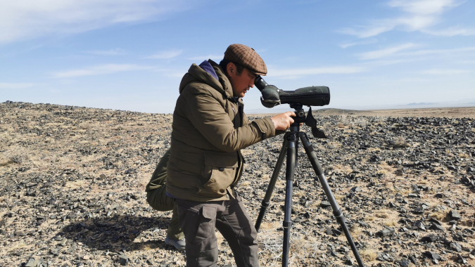 Wildtierzählung in der Mongolei