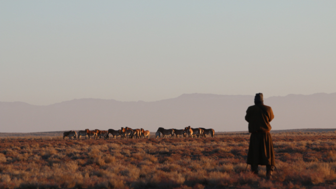 Wildhutpatrouillen in der Mongolei