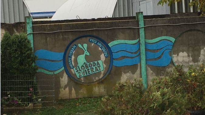Hilfe für Tierheim Utulok Piestany