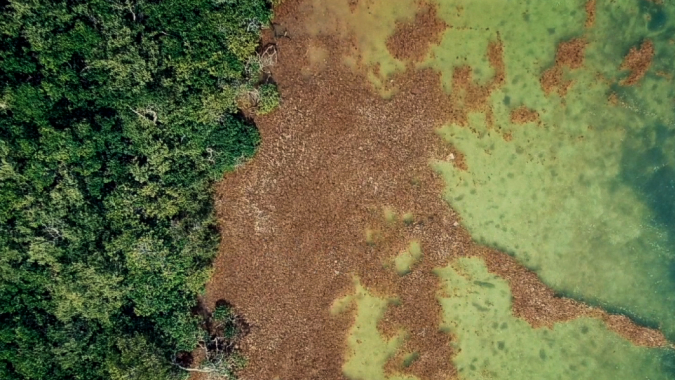 Mexiko, Yucatan – Wasser braucht Schutz