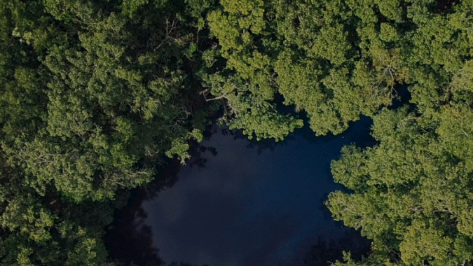 Mexiko, Yucatan – Wasser braucht Schutz