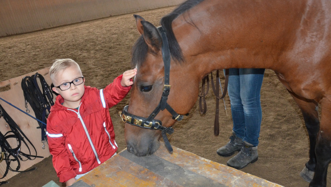 Reiten für Menschen mit Behinderungen