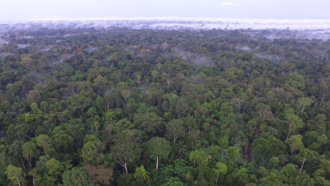 Anschaffung von Infrastruktur für den Schutz und die Verwaltung unseres 2400 Hektar großen Reservats in Amazonien