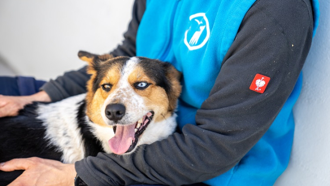 Tierschutz mit Herz und Verstand