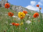 Naturerhaltung in Europa