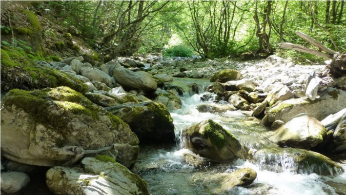 Fluss-Schutz