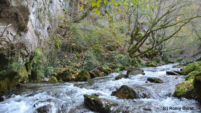 Fluss-Schutz