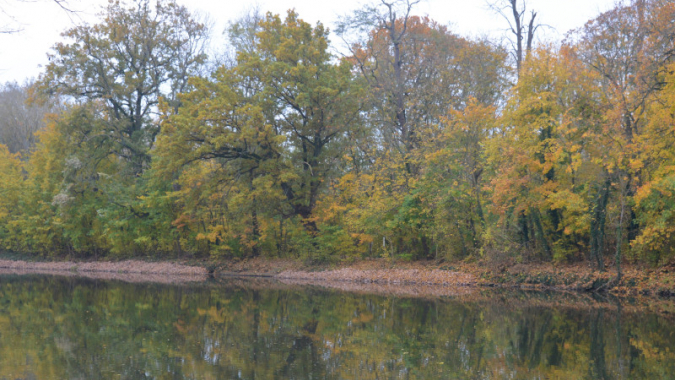 Steinschüttungen an der Saale
