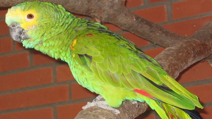 Praktizierte Tierliebe - Das Tier-, Natur- und Jugendzentrum in Weidefeld