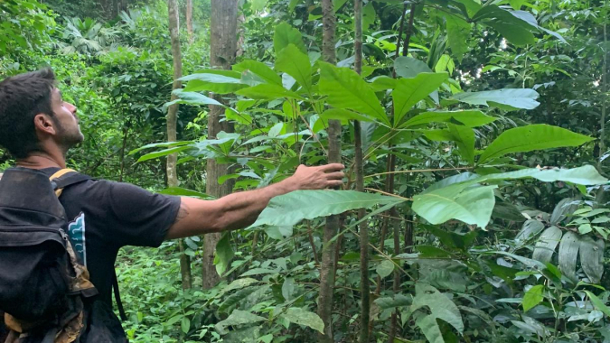 Tierra Madre Projekt - Landkauf und Regenwaldaufforstung
