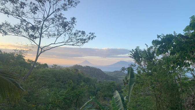 Tierra Madre Projekt - Landkauf und Regenwaldaufforstung