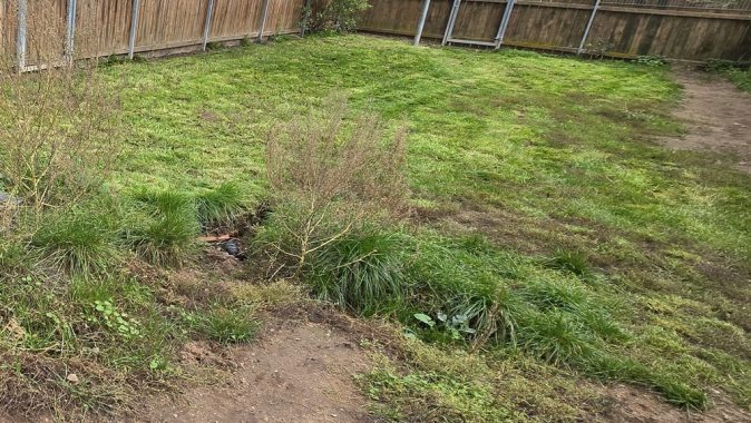 Außenanlagen Hundeausläufe