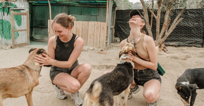 Beldi Refuge – Schutz und neue Hundehütten für Straßenhunde in Marokko
