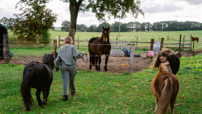 Feriencamps deutschlandweit – unvergessliche Erlebnisse für Kinder!