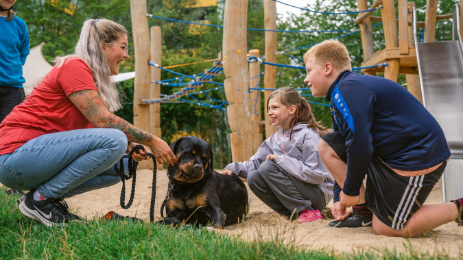 HarmonyDog - legt einen neuen Fokus auf tiergestützte Arbeit mit Kindern