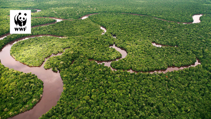 Für den Jaguar, für den Flussdelfin und für uns alle: Amazonas schützen!
