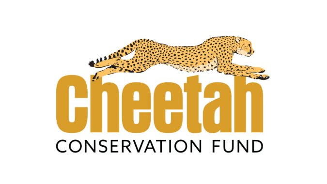Geparden-Schutz - der Cheetah Conservation Fund in Namibia