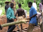Natur fördern, Arbeit schaffen, Landflucht verhindern