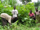 Natur fördern, Arbeit schaffen, Landflucht verhindern