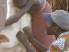 Ernährungssicherung durch Tiergesundheit: Die Ausbildung von Tiergesundheitshelfern im Sudan