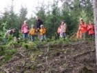 Zu zweit und doch allein - Familien mit Zwillings- bzw. Mehrlingsgeburten