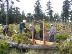 Arbeitseinsätze zum Schutz und Erhalt der Wälder