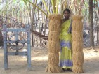 Menschen retten MANGROVEN - retten Leben! Tamil Nadu/Indien