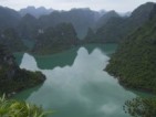 Rettung des Goldkopflanguren im Cat Ba National Park, Nord-Vietnam