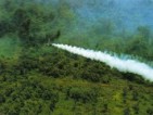 Opfern von Agent Orange und Landminen in Vietnam helfen