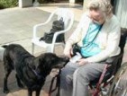 Tiergestützte Therapie