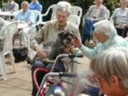 Tiergestützte Therapie