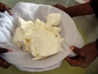Gesunde Kamelmilch als Nahrungsmittel und Einkommensquelle