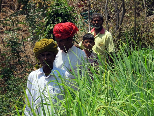 Unterstützung traditioneller Gesundheitsversorgung in Rajasthan and Gujarat in Kooperation mit lokalen NGOs