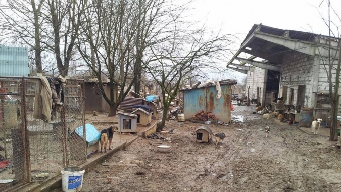 Santuhalm-Shelter bei Deva