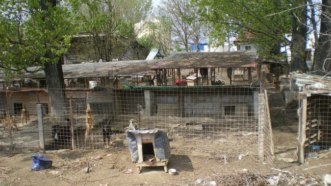 Santuhalm-Shelter bei Deva