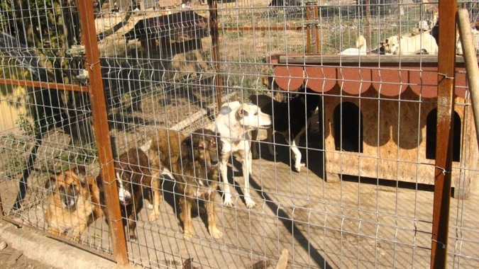 Santuhalm-Shelter bei Deva