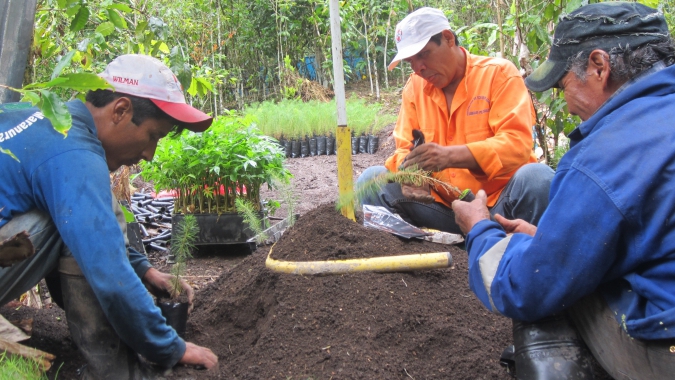 Food Forests für Regenwald- und Artenschutz in Peru!