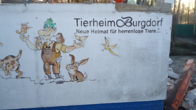 Neubau eines Katzenhauses
