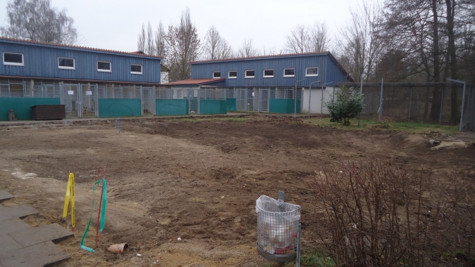 Neubau eines Katzenhauses