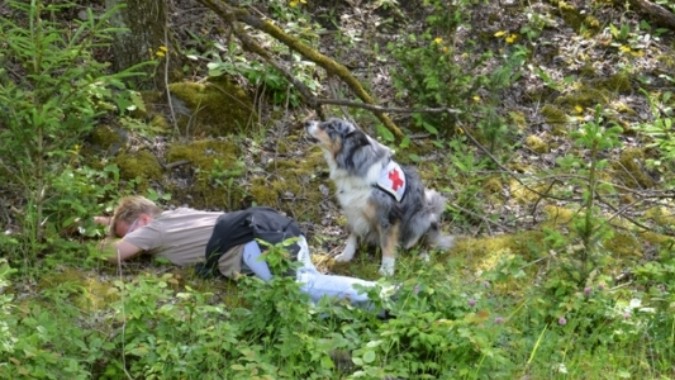 „Suche nach vermissten Personen / Therapiehundearbeit“ - Rettungshundestaffel des Deutschen Roten Kreuz