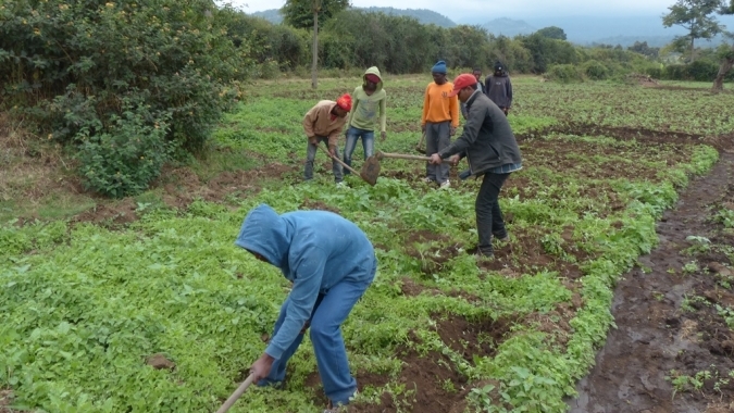 Hilfe für Afrika - Arusha's Straßenkinder