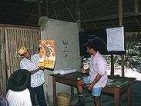 Schutz des Regenwaldes der Awa-Indianer