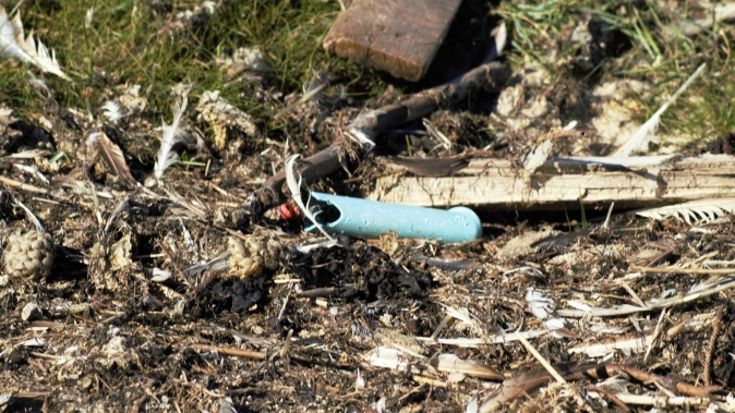 Reinigung der Strände an Seen, Flüßen und Küsten