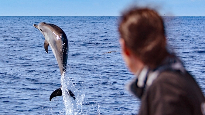 La Gomera: Umweltverträgliches Whale-Watching