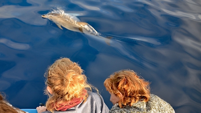 La Gomera: Umweltverträgliches Whale-Watching