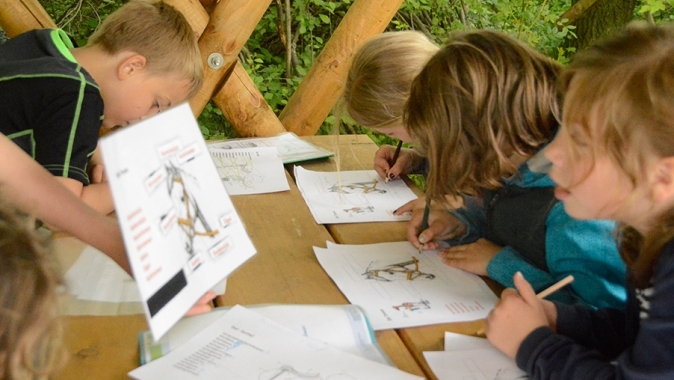Pony für Schul-Reit-AG