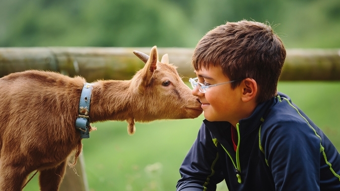 Tiergestützte Therapie - Gebäude Animotion Institut