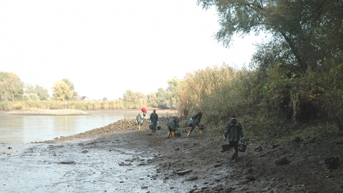 Natürliche Elbufer | Strukturreiche Ufer an der Elbe