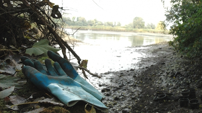 Natürliche Elbufer | Strukturreiche Ufer an der Elbe